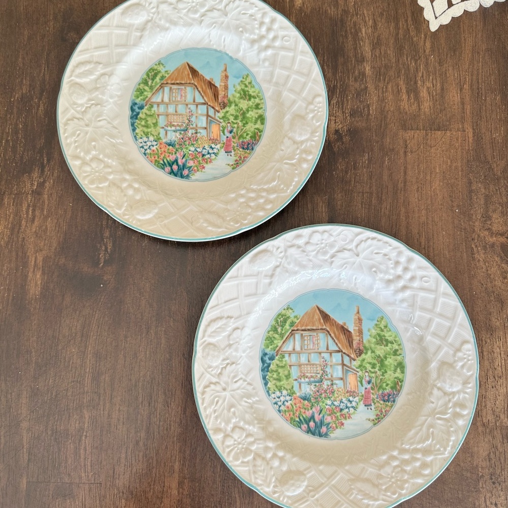 Mikasa Cottage Vista Plates (2)
